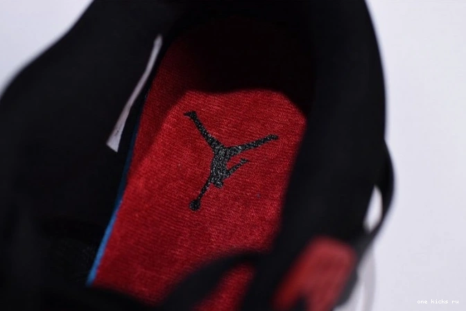 Rep Onekick Jordan Raptors